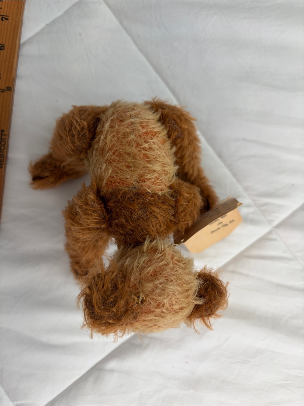 Teddy bear ace - Picture 7 of 11